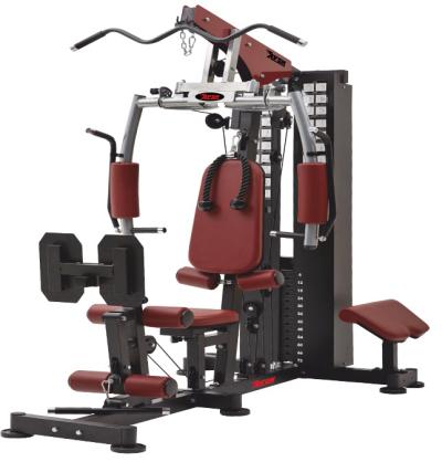 Domestic Home GYM